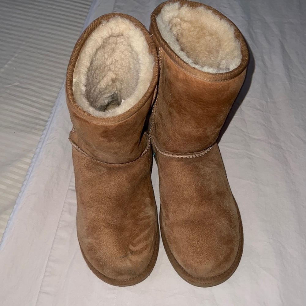 Classic Chestnut Uggs - image 1